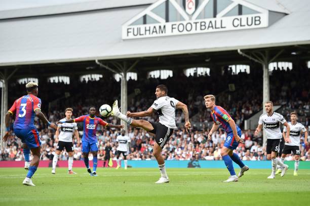 还有其团队 还有其团队