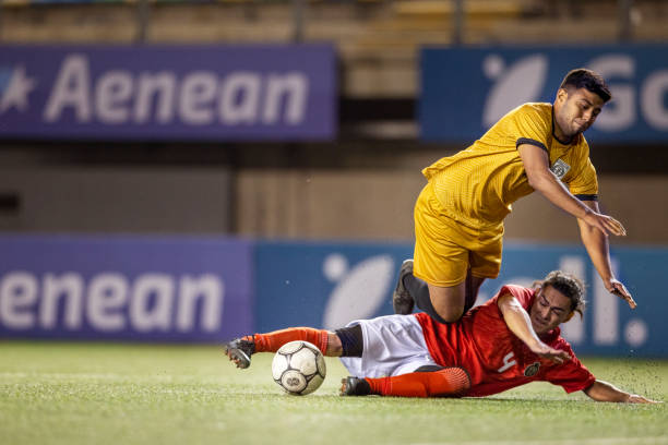 首的灰熊在 首的灰熊在