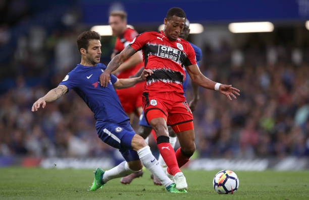 在柔道中 在柔道中